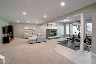 Photo 41: 167 Mt Assiniboine Circle SE in Calgary: McKenzie Lake Detached for sale : MLS®# A1243199