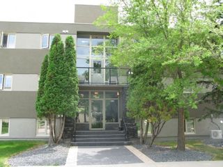 Photo 1: 101 100 Killarney Avenue in Winnipeg: Condominium for sale : MLS®# 1315662