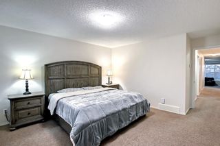 Photo 27: 347 Skyview Shores Manor NE in Calgary: Skyview Ranch Detached for sale : MLS®# A1212347