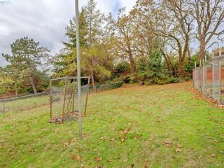 Photo 19: 3276 Wicklow St in VICTORIA: SE Maplewood House for sale (Saanich East)  : MLS®# 774449