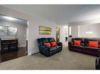 Photo 5: 21078 GLENWOOD Avenue in Maple Ridge: Northwest Maple Ridge House for sale : MLS®# V1103012