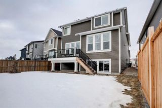 Photo 50: 33 Williamstown Park NW: Airdrie Detached for sale : MLS®# A1056206