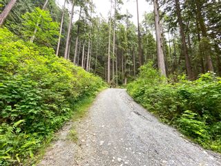 Photo 5: LOT 9 WILLIAMS LANDING in Pitt Meadows: North Meadows PI Land for sale : MLS®# R2700863