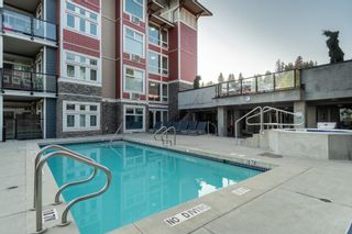 Photo 29: 311 2242 WHATCOM Road in Abbotsford: Abbotsford East Condo for sale : MLS®# R2731791