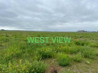 Photo 5: 270020 HIGHWAY 564 - TWP254 Township NE in Rural Rocky View County: Rural Rocky View MD Commercial Land for sale : MLS®# A2099731