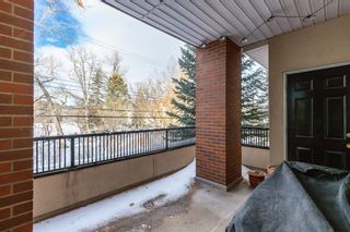 Photo 18: 210 1110 5 Avenue NW in Calgary: Hillhurst Apartment for sale : MLS®# A1072681