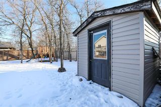 Photo 29: 230 Greentree Drive in Grunthal: House for sale : MLS®# 202402478