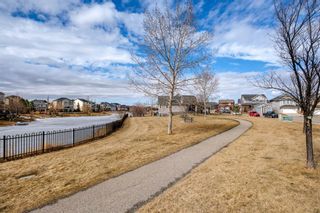 Photo 41: 30 Bayside Park SW: Airdrie Detached for sale : MLS®# A2120303