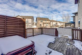 Photo 27: 18 Morningside Landing SW: Airdrie Detached for sale : MLS®# A2109366