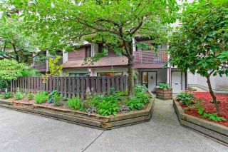 Photo 1: 8 340 GINGER Drive in New Westminster: Fraserview NW Townhouse for sale : MLS®# R2286554