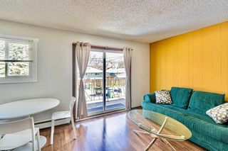 Main Photo: 203 2748 Brentwood Boulevard NW in Calgary: Brentwood Apartment for sale : MLS®# A2132985
