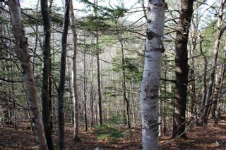 Photo 12: Lot 1 Power Lot Road in Clementsport: Annapolis County Vacant Land for sale (Annapolis Valley)  : MLS®# 202227444