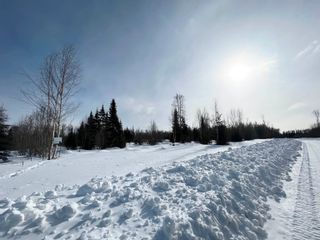 Photo 18: DL 13174 GAGNON SUBD Street in Mackenzie: Mackenzie -Town Land for sale in "GAGNON SUBDIVISION" : MLS®# R2754950