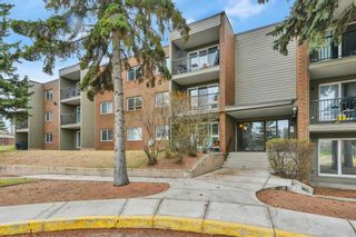 Photo 14: 101 103 Hermary Street: Red Deer Apartment for sale : MLS®# A2130012