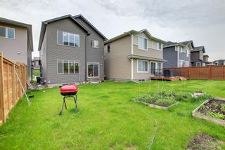 Photo 36: 225 Lucas Crescent NW in Calgary: Livingston Detached for sale : MLS®# A1241158