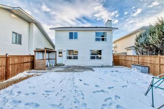 Photo 41: 52 Applewood Court SE in Calgary: Applewood Park Detached for sale : MLS®# A2018208