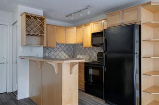 Photo 8: 205 1129 Cameron Avenue SW in Calgary: Lower Mount Royal Apartment for sale : MLS®# A1195022