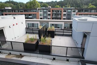 Photo 1: 10 83 MOODY STREET in Port Moody: North Shore Pt Moody Townhouse for sale : MLS®# R2633861