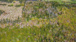 Photo 12: Lot 1 Brow Of Mountain Road in Garland: Kings County Vacant Land for sale (Annapolis Valley)  : MLS®# 202307920