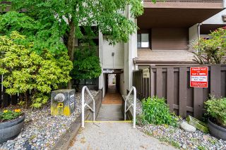 Photo 23: 6 385 GINGER Drive in New Westminster: Fraserview NW Townhouse for sale in "Fraser Mews" : MLS®# R2893885