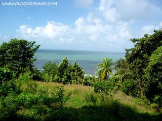 Photo 3: Oceanview land for sale near Portobelo