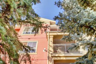 Photo 30: 317 5115 Richard Road SW in Calgary: Lincoln Park Apartment for sale : MLS®# A1179249