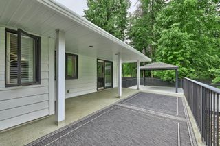 Photo 50: 3823 Zinck Road in Scotch Creek: House for sale : MLS®# 10233239