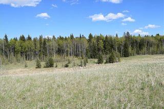 Photo 13: TWP Rd 310: Rural Mountain View County Land for sale : MLS®# C4292828