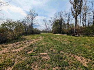 Photo 8: Block 103 New Town Road in Avondale: Hants County Vacant Land for sale (Annapolis Valley)  : MLS®# 202309095