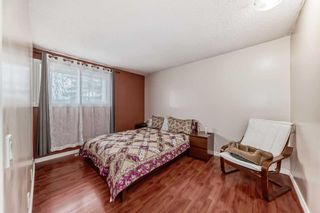 Photo 20: 327 5404 10 Avenue SE in Calgary: Penbrooke Meadows Row/Townhouse for sale : MLS®# A2128187