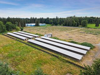 Photo 8: 711 256 Street in Langley: Otter District Agri-Business for sale : MLS®# C8053115