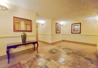 Photo 20: 501 4554 Valiant Drive NW in Calgary: Varsity Apartment for sale : MLS®# A2091660