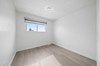 Photo 18: 7 Whitmire Road NE in Calgary: Whitehorn Detached for sale : MLS®# A2117955