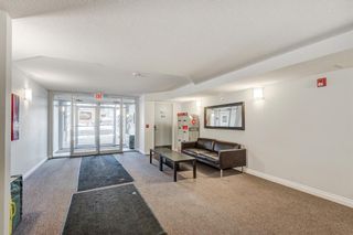 Photo 3: 209 1631 28 Avenue SW in Calgary: South Calgary Apartment for sale : MLS®# A2030603