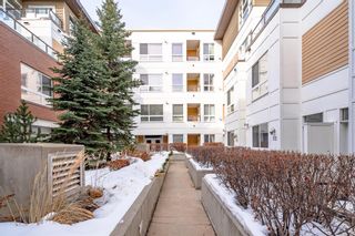 Photo 26: 308 1000 Centre Avenue NE in Calgary: Bridgeland/Riverside Apartment for sale : MLS®# A2035900