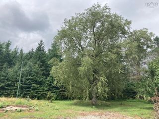 Photo 5: 9632 Highway 224 in Greenwood: 35-Halifax County East Vacant Land for sale (Halifax-Dartmouth)  : MLS®# 202220436