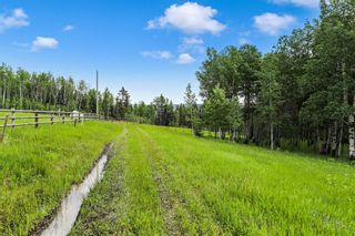 Photo 11: 0 Parkins Road: Millarville Residential Land for sale : MLS®# A1257087