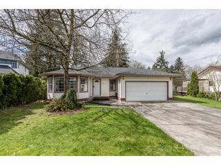 Photo 1: 12471 231ST Street in Maple Ridge: East Central House for sale : MLS®# R2156595
