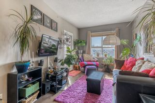 Photo 13: 3206 73 Erin Woods Court SE in Calgary: Erin Woods Apartment for sale : MLS®# A2055179