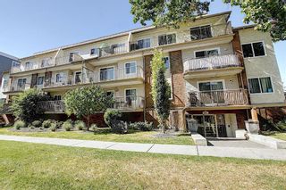 Photo 2: 203 809 4 Street NE in Calgary: Renfrew Apartment for sale : MLS®# A2118564