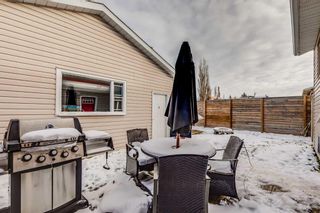 Photo 26: 64 Mayfair Close SE: Airdrie Detached for sale : MLS®# A2089340