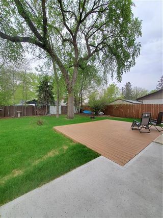 Photo 32: 382 RIEL Avenue in Winnipeg: Bright Oaks Residential for sale (2C)  : MLS®# 202314088