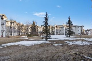 Photo 29: 2118 2600 66 Street NE in Calgary: Pineridge Apartment for sale : MLS®# A2125370