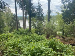 Photo 4: LOT 2 BYRNES Road in Maple Ridge: Thornhill MR Land for sale : MLS®# R2690333