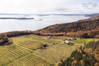 Photo 10: 5349 Marble Mountain Road in Marble Mountain: 306-Inverness County / Inverness Farm for sale (Highland Region)  : MLS®# 202225610