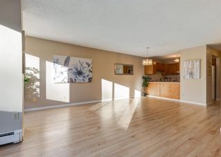 Photo 11: 203 330 15 Avenue SW in Calgary: Beltline Apartment for sale : MLS®# A2093426