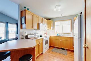 Photo 6: 69 Lees Street: Red Deer Semi Detached (Half Duplex) for sale : MLS®# A2010185