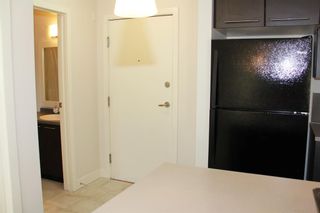 Photo 19: 422 35 Richard Court SW in Calgary: Lincoln Park Apartment for sale : MLS®# A1165857