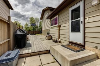 Photo 38: 43 Bernard Close NW in Calgary: Beddington Heights Detached for sale : MLS®# A1219607