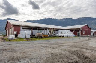 Photo 9: 39464 WELLS LINE Road in Abbotsford: Sumas Prairie House for sale : MLS®# R2835095